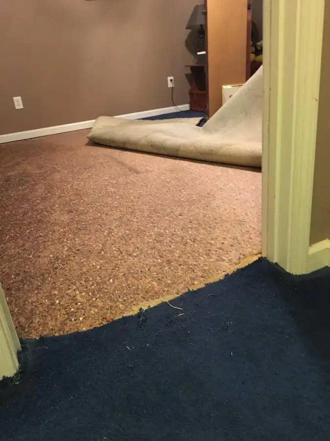Carpet pad removal revealing water damage during Drying & Dehumidification in Sunbury