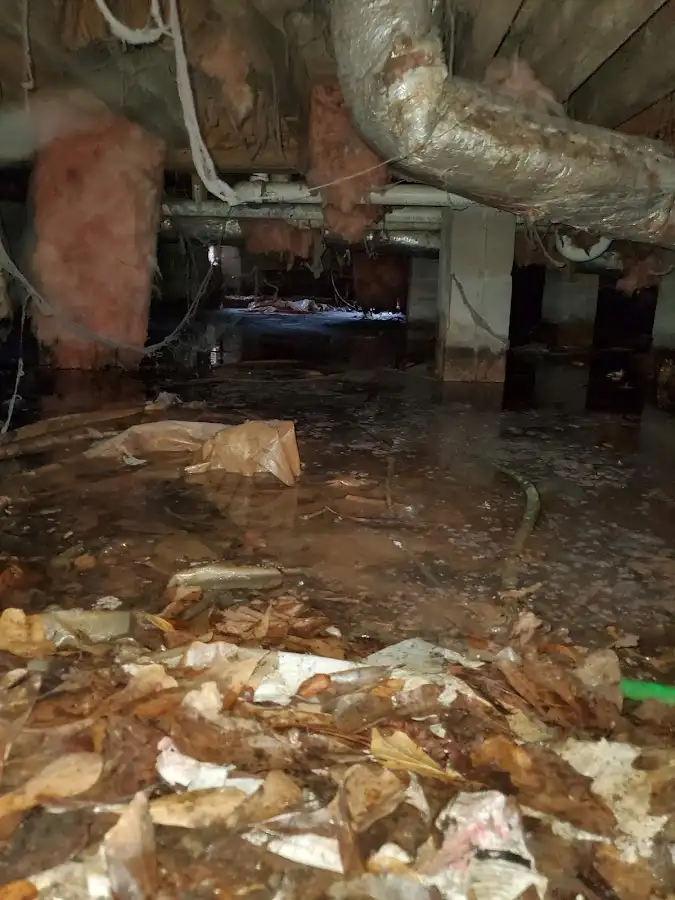 Crawl space flood assessment for Leak Detection & Repair in Sunbury