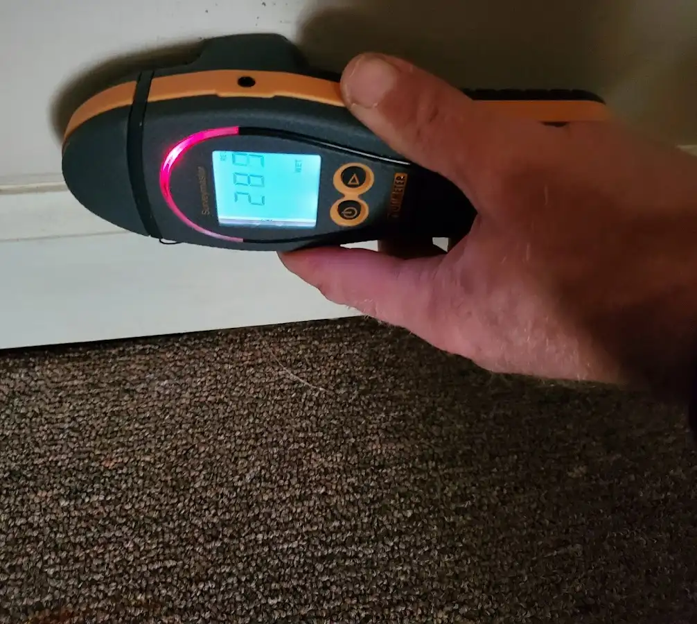 Moisture detection at baseboard during Mold Inspection & Testing in Sunbury